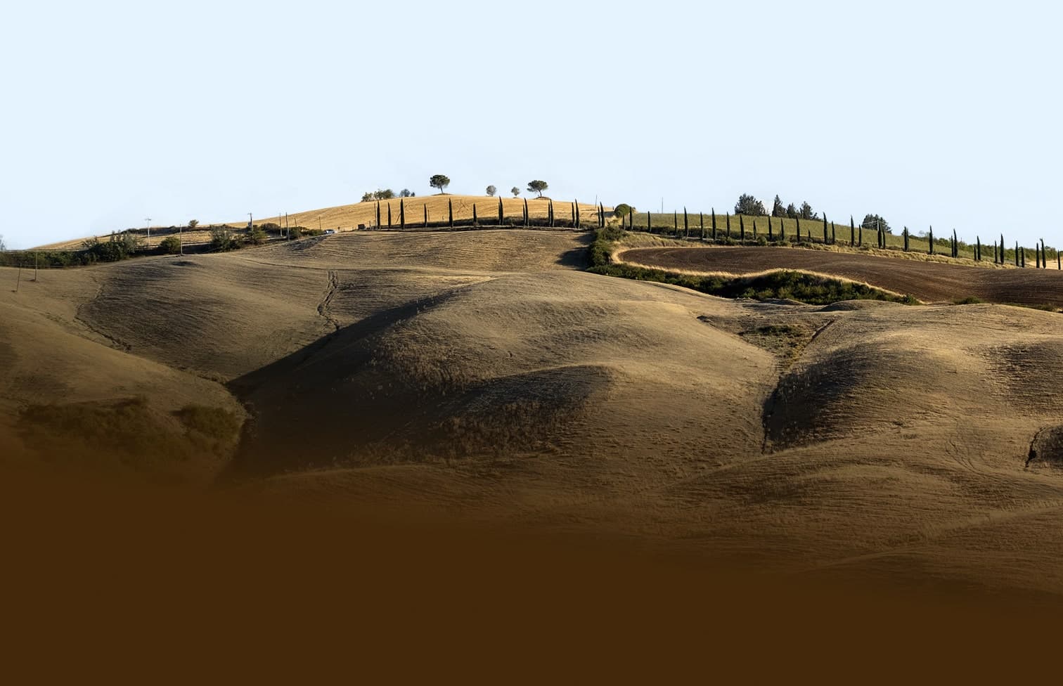 Paesaggio collinare toscano con cipressi allineati sulla cresta