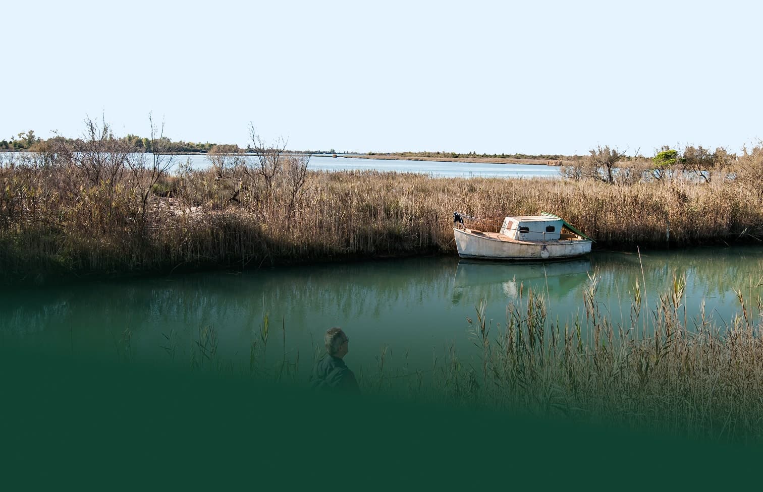 Piccola barca ancorata in laguna circondata da canneti