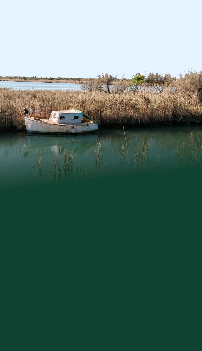 Piccola barca ancorata in laguna circondata da canneti