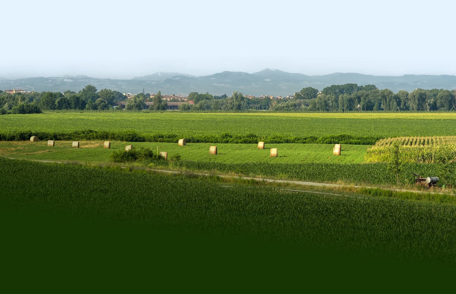 Ampia pianura agricola con rotoballe e colline in lontananza