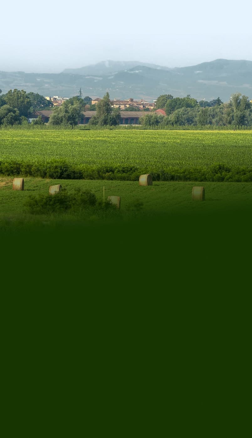Ampia pianura agricola con rotoballe e colline in lontananza
