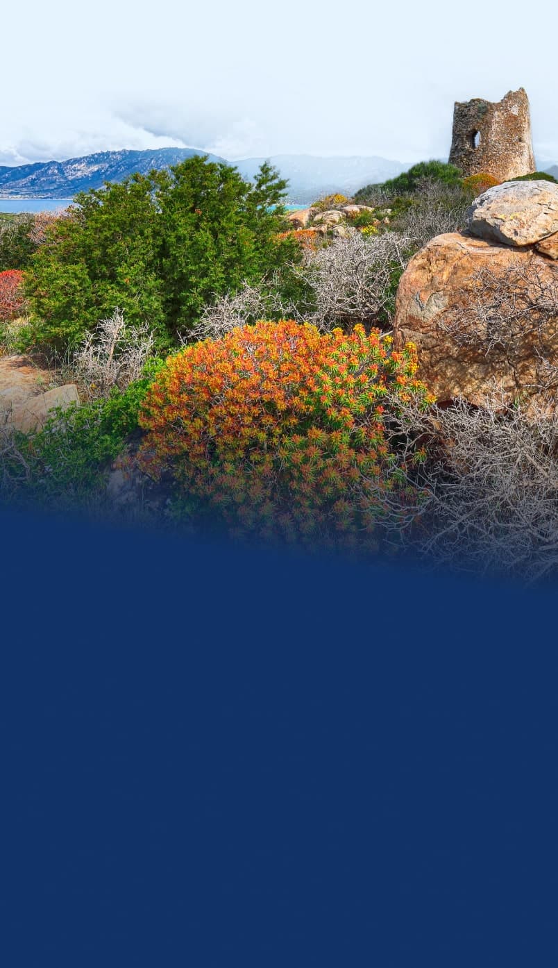 Torretta in pietra tra rocce e macchia mediterranea in Sardegna