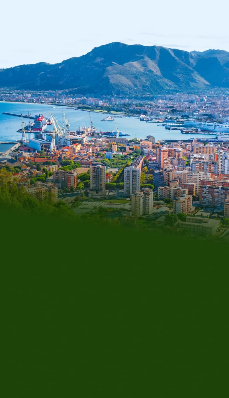 Veduta di Palermo con porto e montagne sullo sfondo