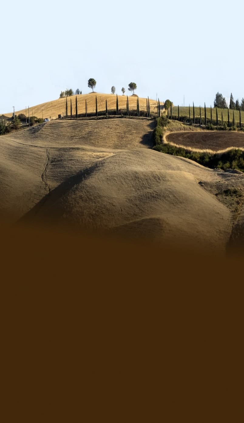 Paesaggio collinare toscano con cipressi allineati sulla cresta